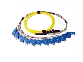 Ribbon Optical Patch Cord